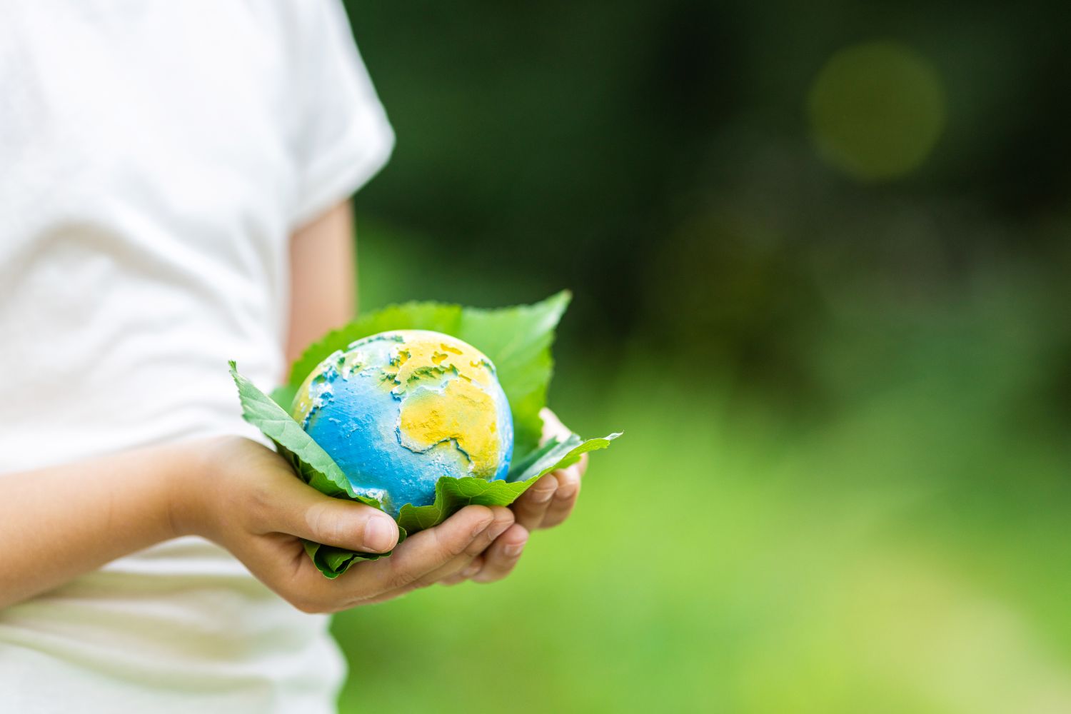 sustainability คือ